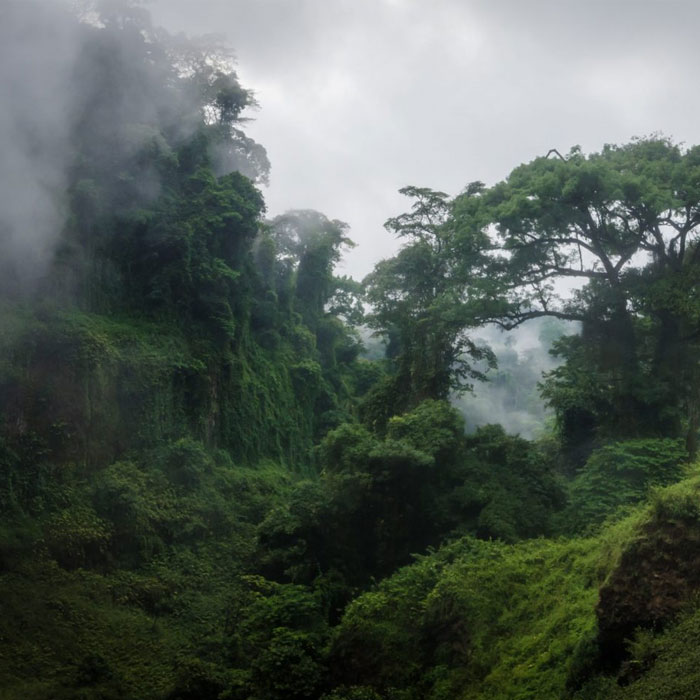 5 Days Congo Gorilla Safari & Nyiragongo Hiking